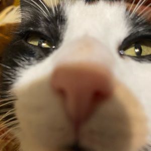 Meet your Posher, Rubi